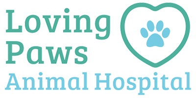 Loving Paws Animal Hospital